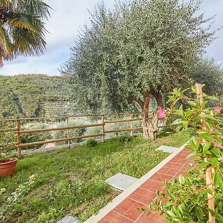 Gechi E Ulivi Finale Ligure